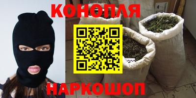индика Будённовск