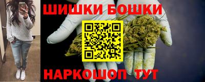 индика Будённовск