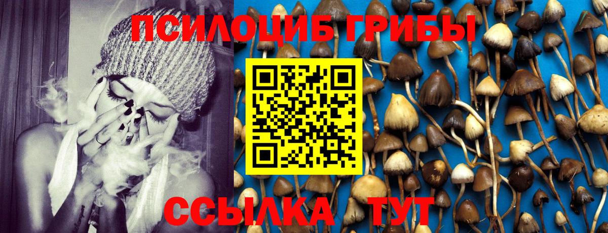 Набережные Челны  Галлюциногенные грибы Cubensis  Вход с VPN 